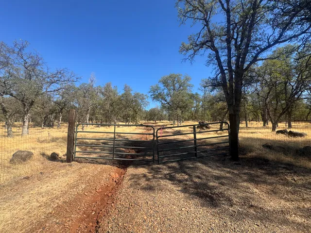 a view of a yard with wooden fence
