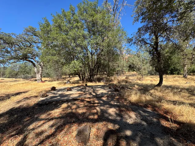 a view of a yard with large trees