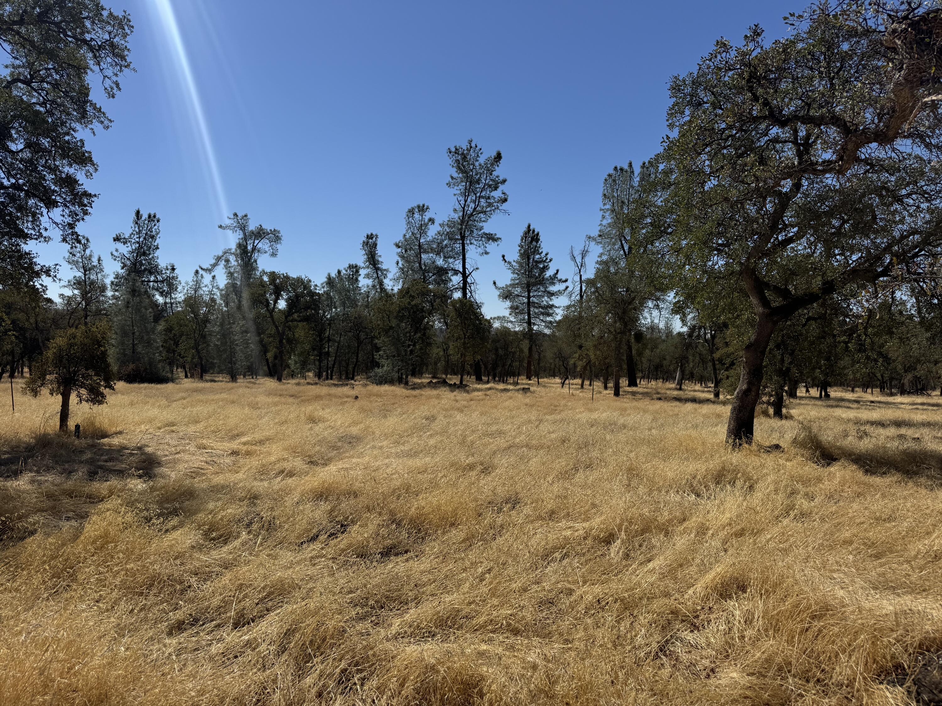 26612 Scharsch Road Shingletown, CA 96088 - Photo 16 of 20 a view of a yard covered with snow in front of house