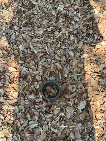 a view of road with trees