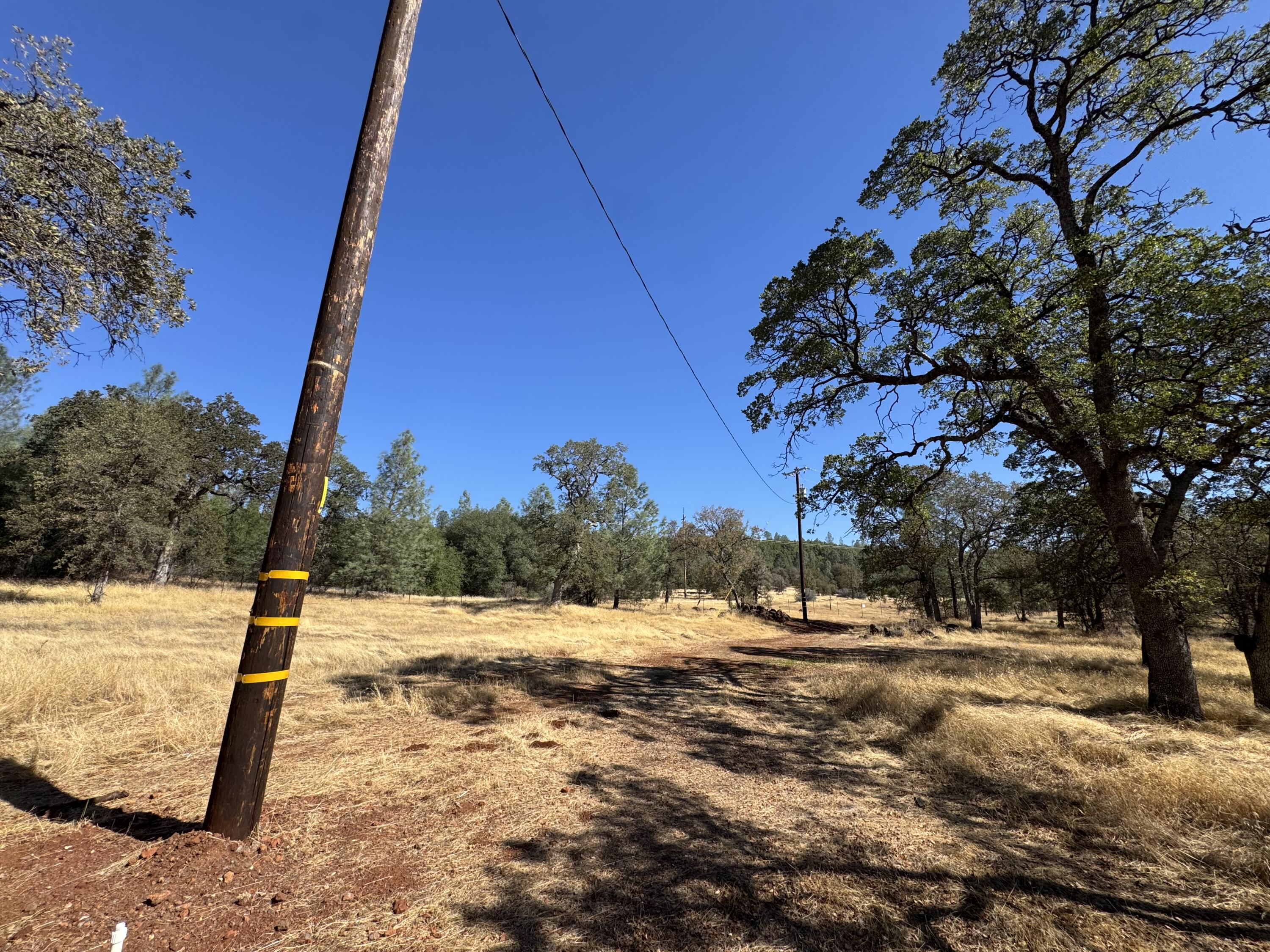 26612 Scharsch Road Shingletown, CA 96088 - Photo 6 of 20 a view of a yard with wooden fence