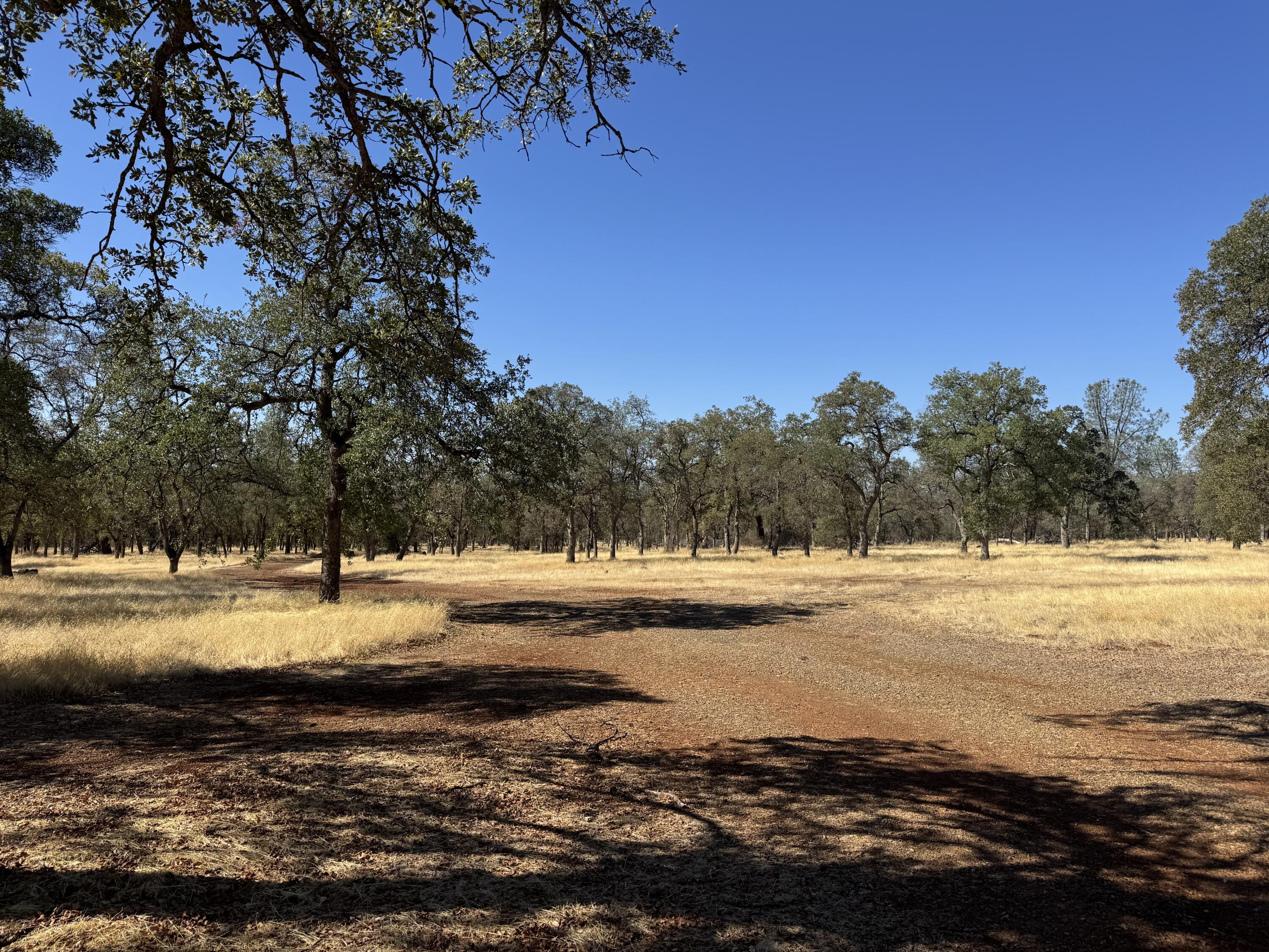 26612 Scharsch Road Shingletown, CA 96088 - Photo 7 of 20 a view of an ocean and beach