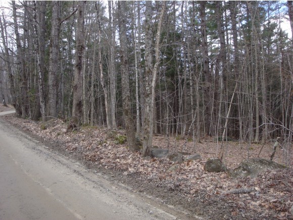 Lot 1 Carter Mountain Road New Hampton, NH 03256 - Photo 1 of 4