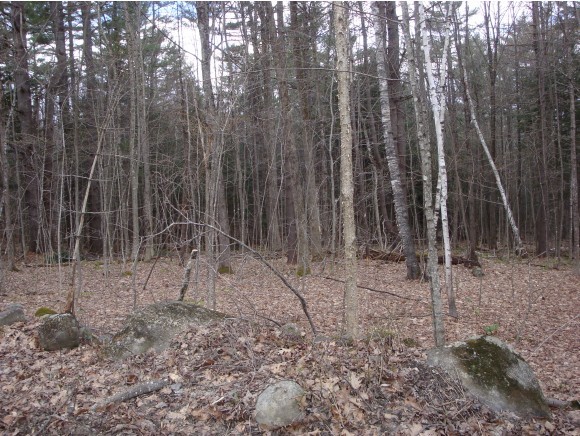 Lot 1 Carter Mountain Road New Hampton, NH 03256 - Photo 3 of 4