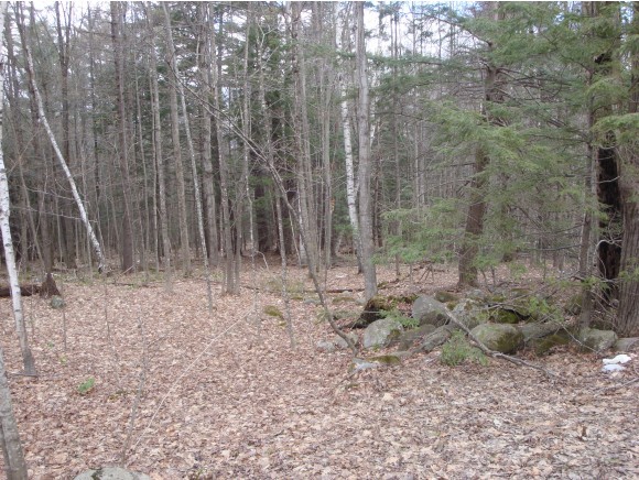 Lot 1 Carter Mountain Road New Hampton, NH 03256 - Photo 4 of 4
