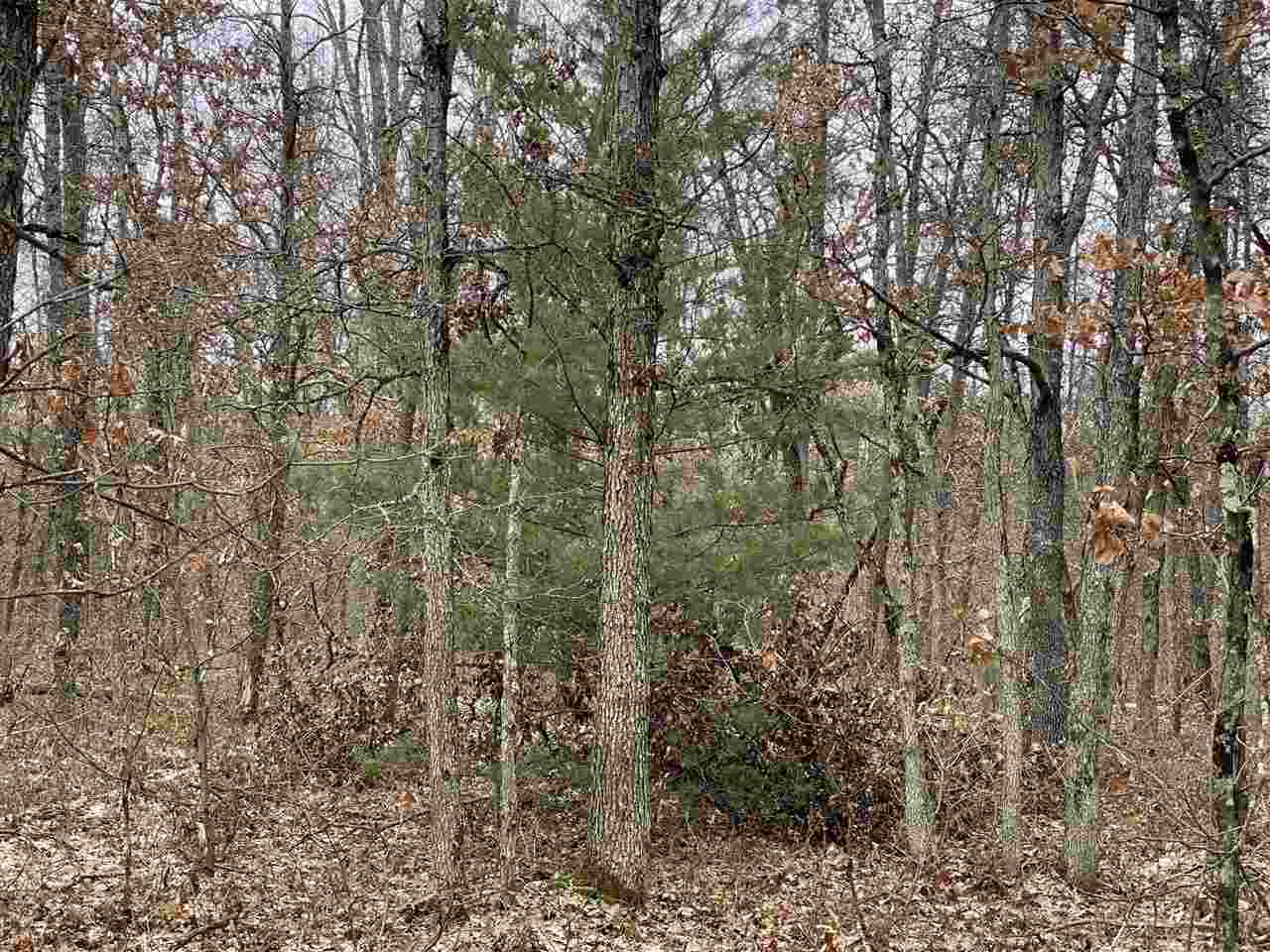0 East Hoague Road Free Soil, MI 49411 - Photo 2 of 5