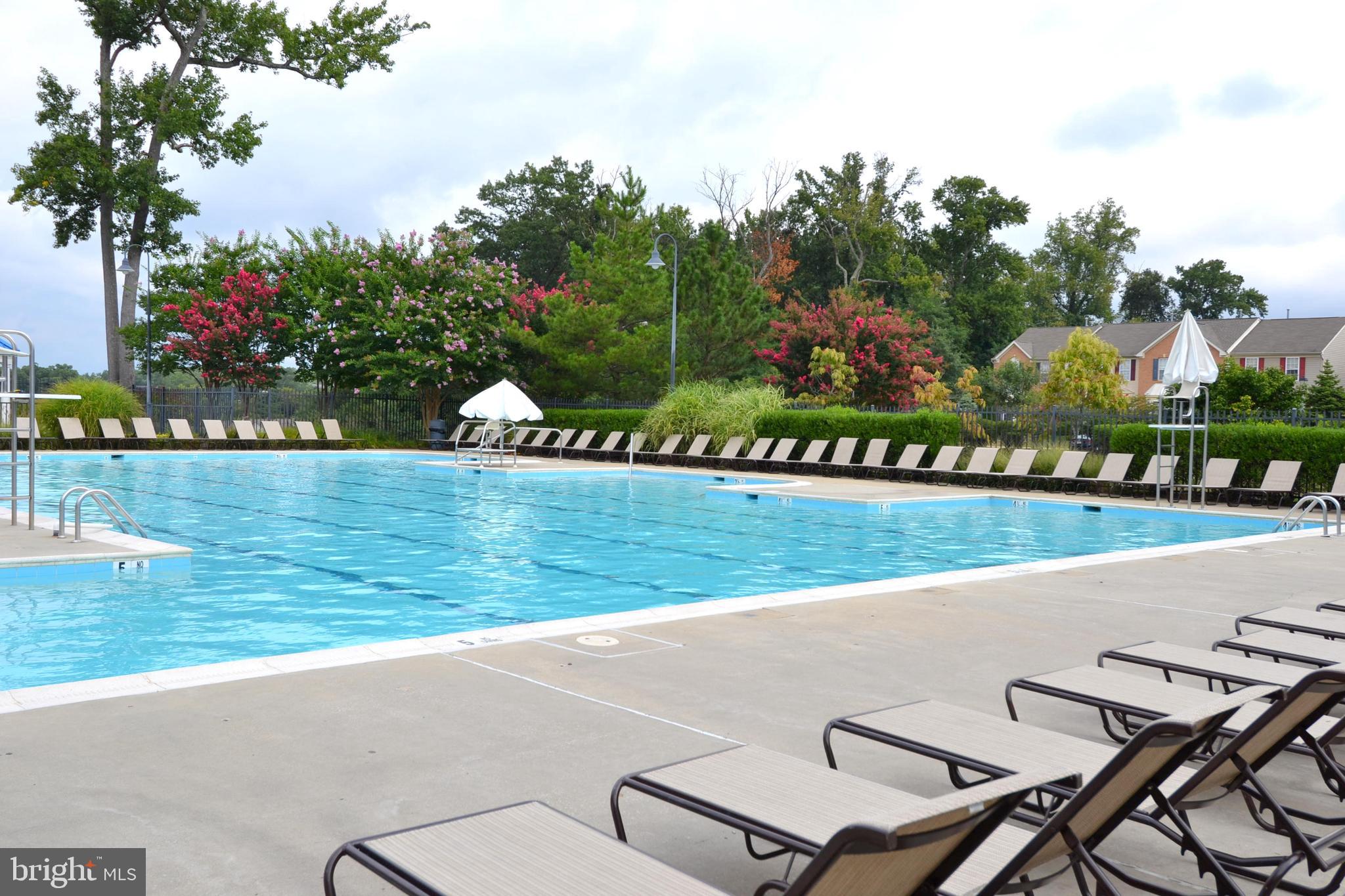 2730 Summers Ridge Drive Odenton, MD 21113 - Photo 42 of 48 "Island" Pool