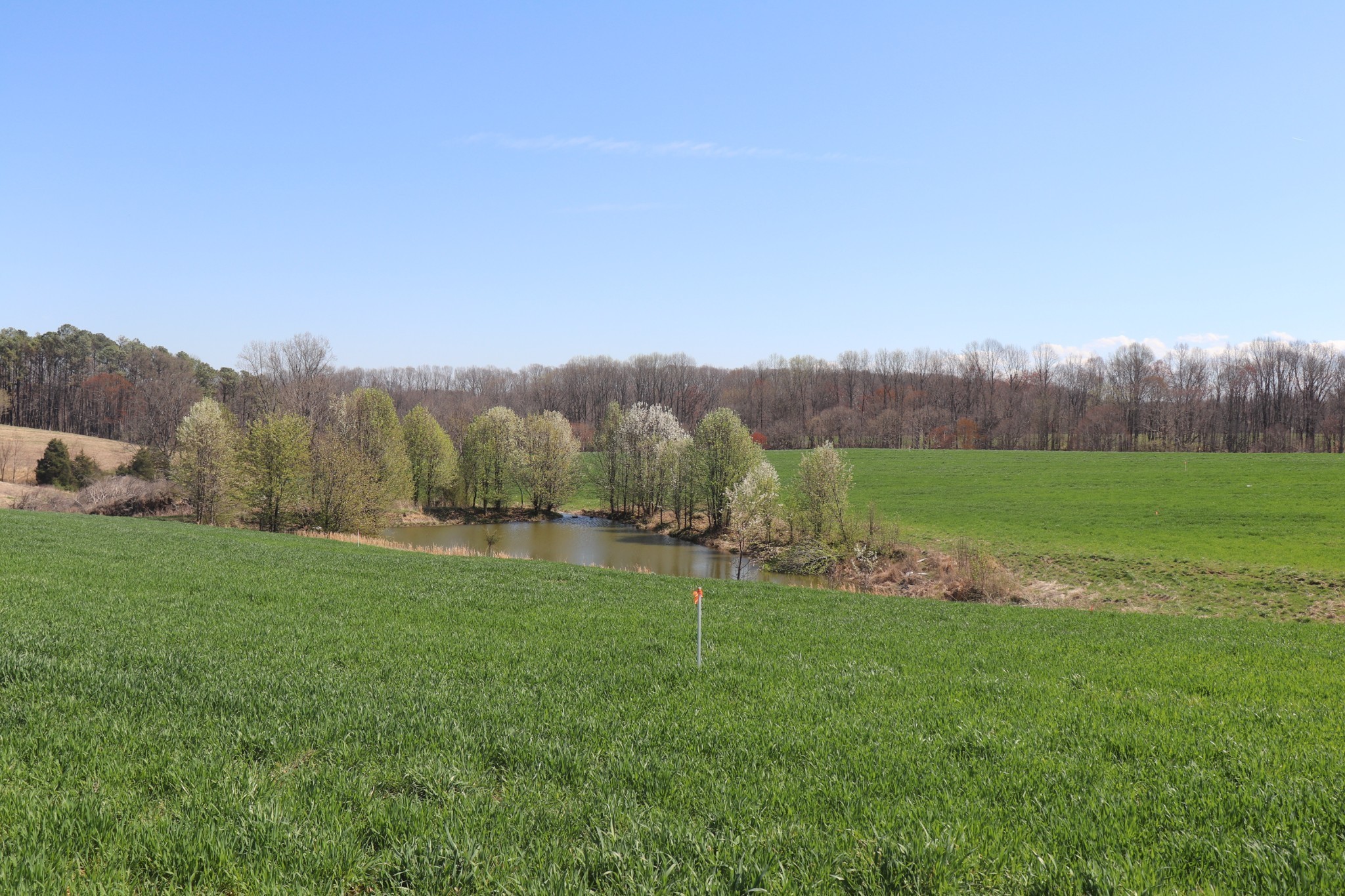 5 Gamaliel Road Red Boiling Springs, TN 37150 - Photo 8 of 16