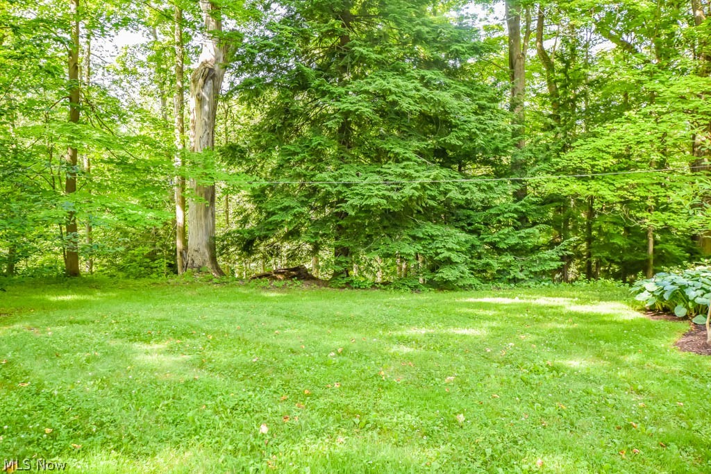 7860 Callow Road Painesville, OH 44077 - Photo 26 of 35 Side