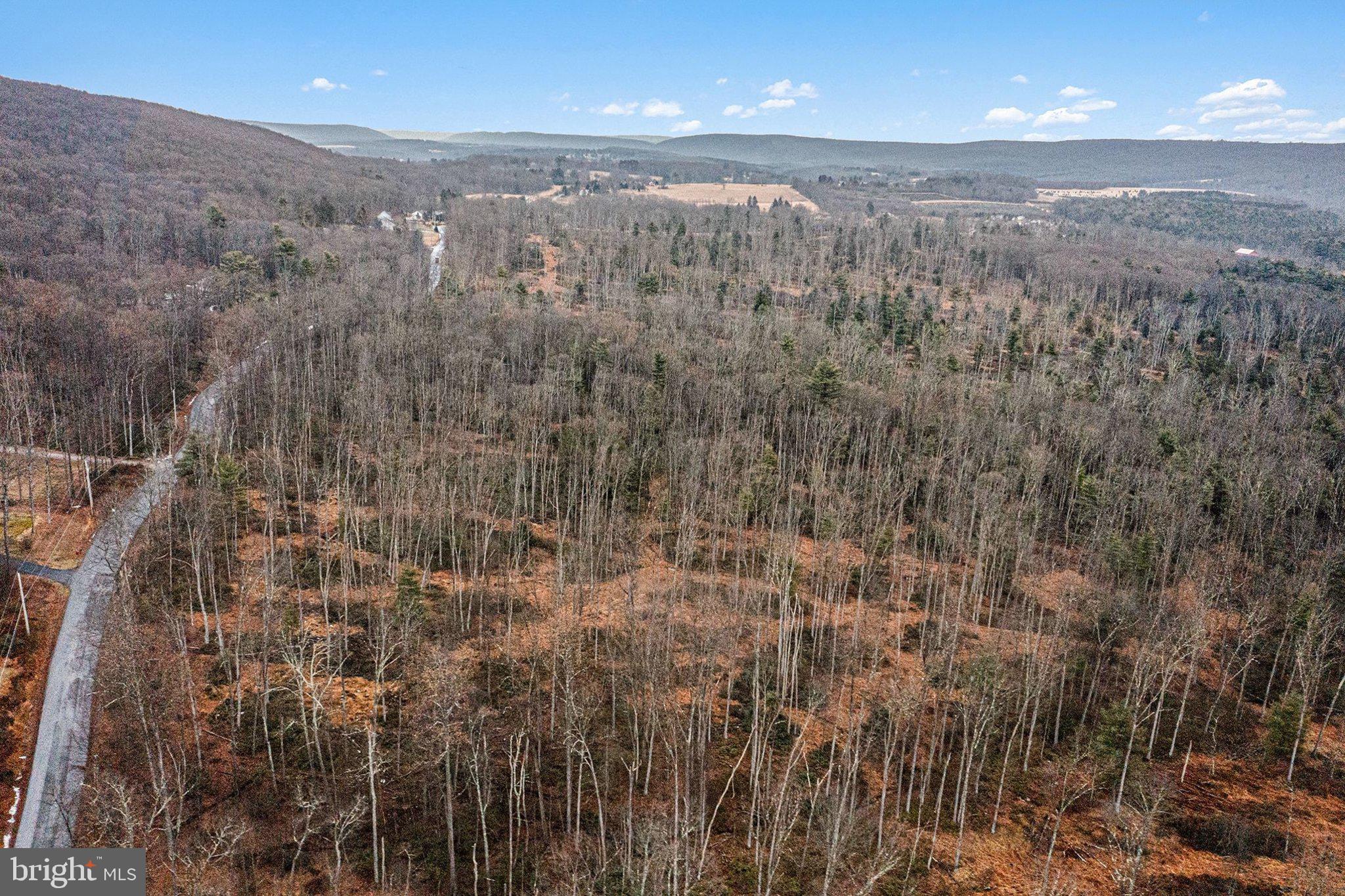 Back Road South Barnesville, PA 18214 - Photo 3 of 6