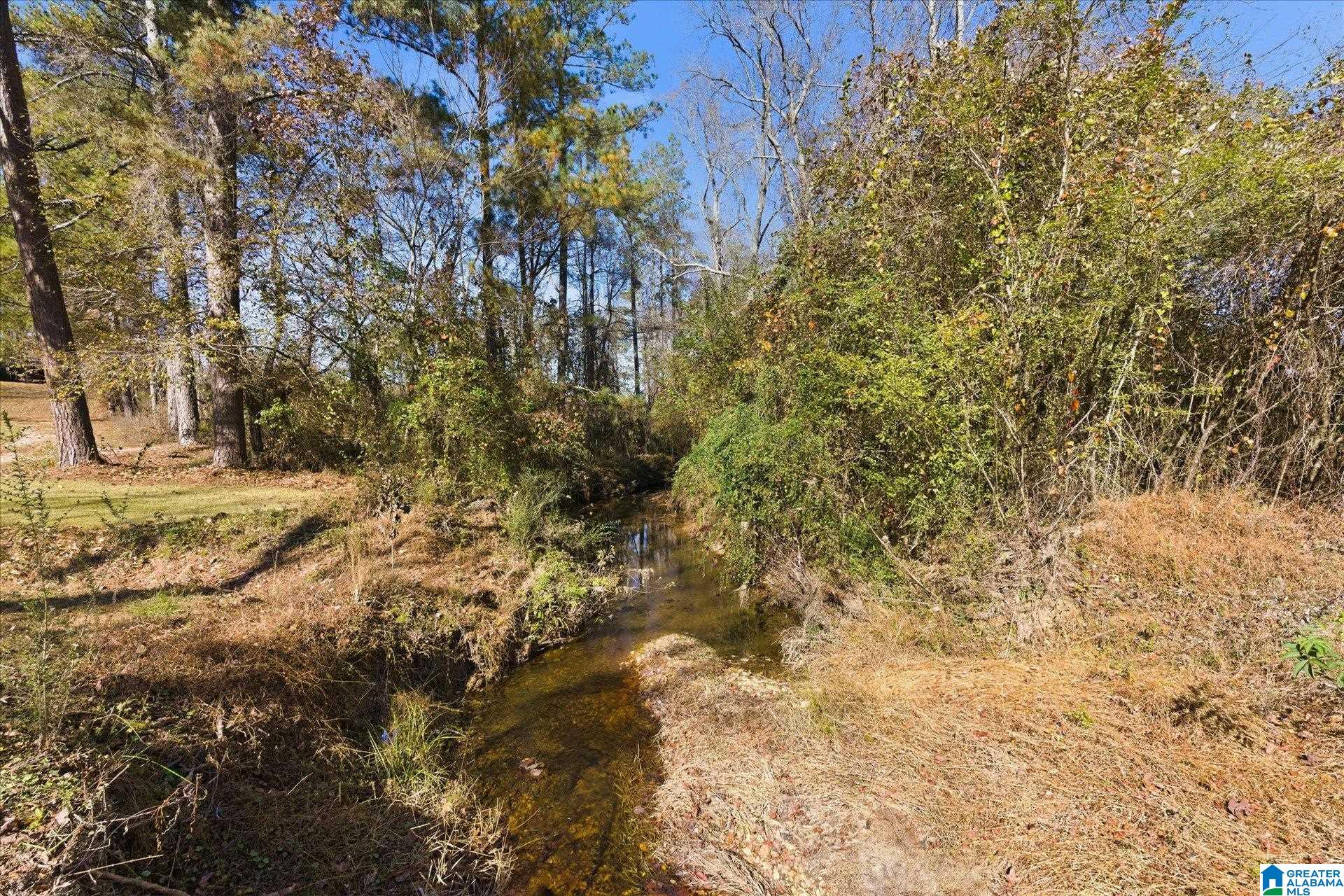 0 County Road 84 Heflin, AL 36264 - Photo 18 of 20