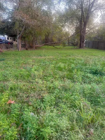 a view of a big yard with plants and large trees
