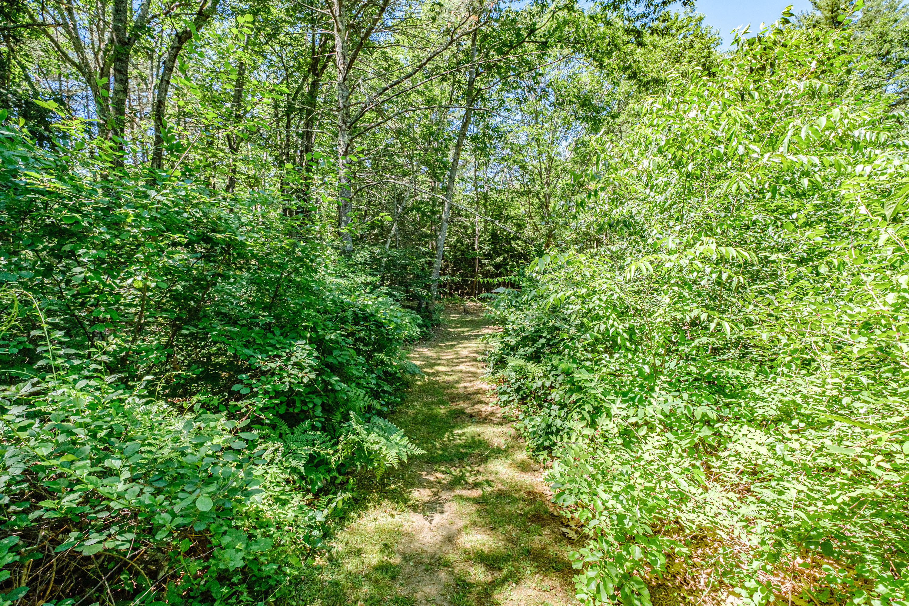664 Duck Pond Road Westbrook, ME 04092 - Photo 59 of 62 20210624gp-62058
