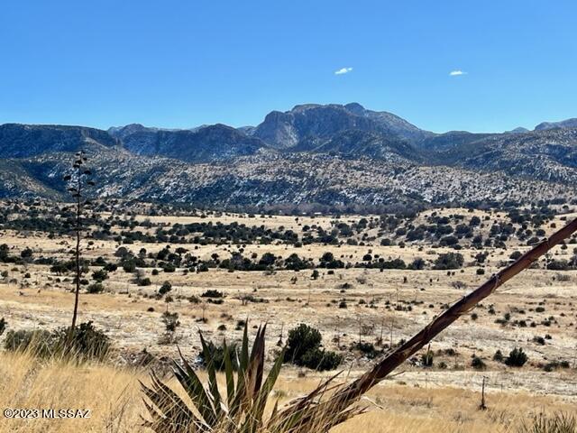 Pinery Canyon Road Willcox, AZ 85643 - Photo 6 of 7