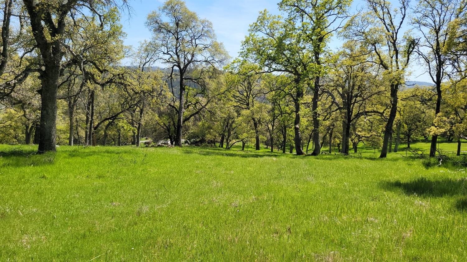 19884 Applejack Drive Grass Valley, CA 95949 - Photo 1 of 1