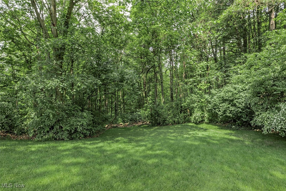 75 Kenton Road Chagrin Falls, OH 44022 - Photo 46 of 48 Gallery Image 46