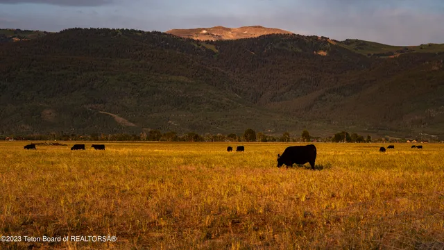 $9,850,000 | 250 East 1750 South, Driggs, ID 83422