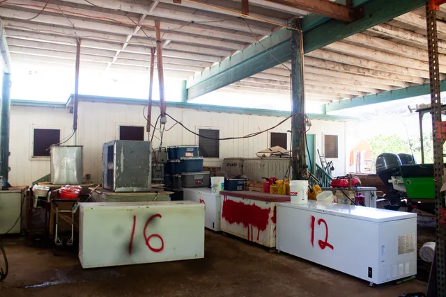 a white kitchen with a white stove top oven and sink