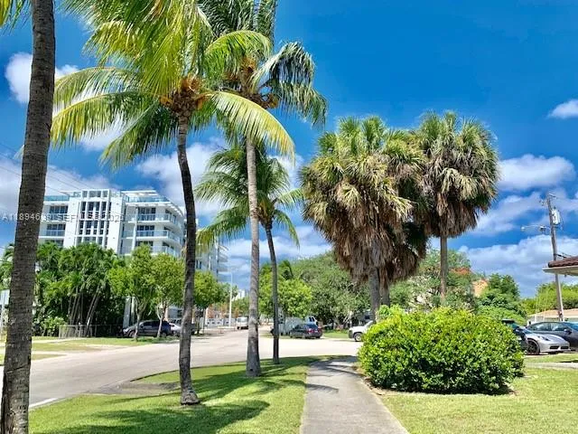 a view of a palm trees front of house