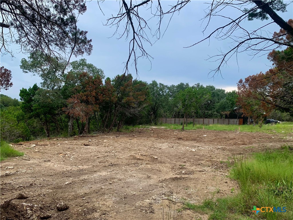 Lot 151 Stagecoach Trail Spring Branch Spring Branch, TX 78070 - Photo 6 of 15