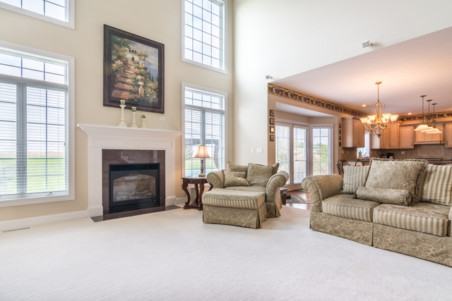 4007 River Ridge Sandwich, IL 60548 - Photo 4 of 28