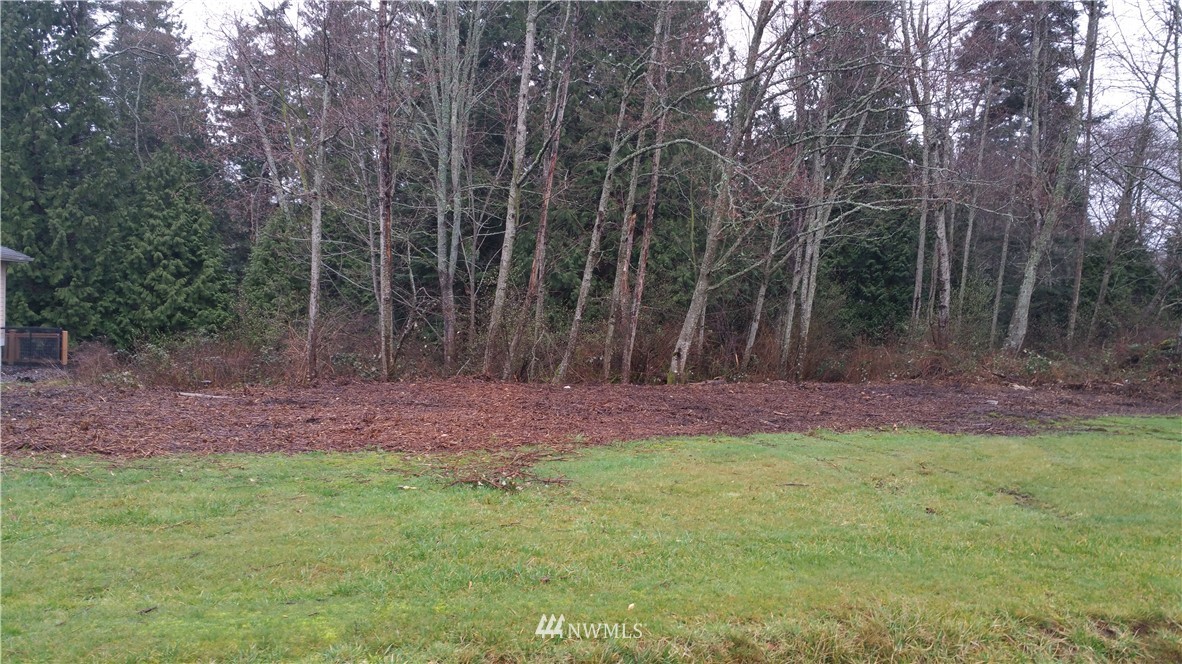 81 Chilliwack Road Blaine, WA 98230 - Photo 1 of 7 Gallery Image 1