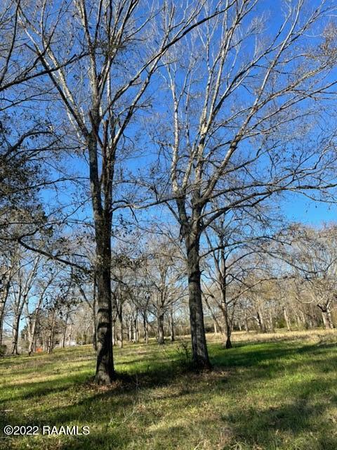 300 Kate Road Carencro, LA 70520 - Photo 3 of 6 IMG_1677