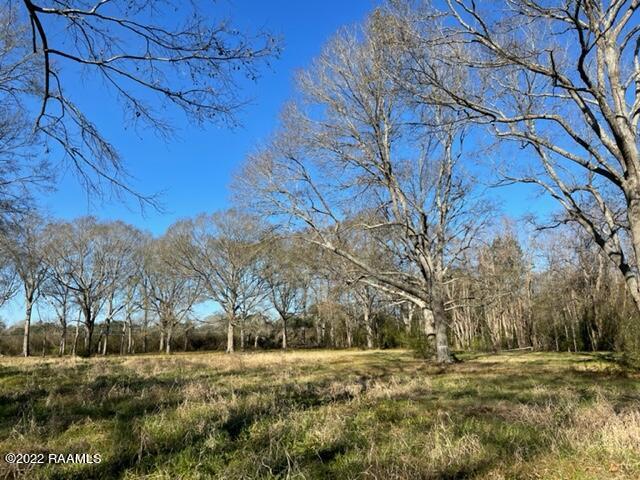 300 Kate Road Carencro, LA 70520 - Photo 5 of 6 IMG_1681