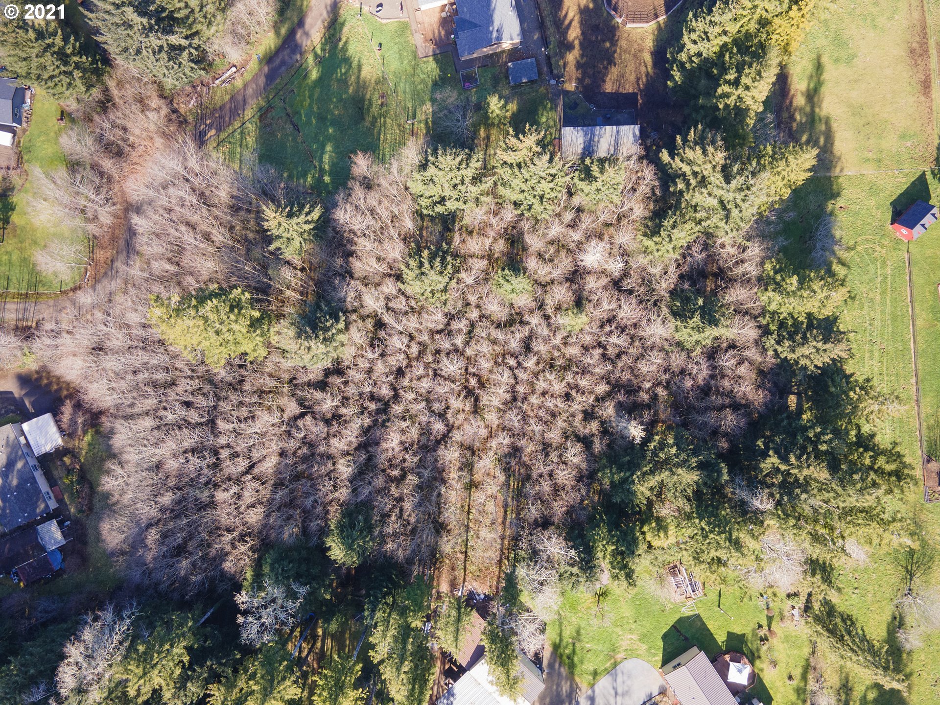 Blanchard Road, Unit 1801 Beaver, OR 97112 - Photo 4 of 10 Gallery Image 4