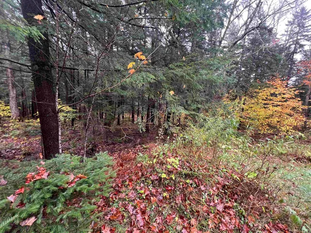 $375,000 | 40 Ellis Brook Road, West Dover, VT 05356