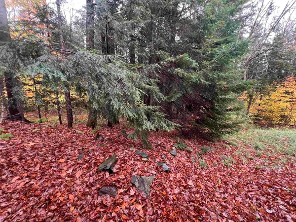 $375,000 | 40 Ellis Brook Road, West Dover, VT 05356
