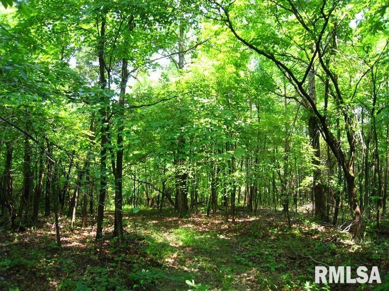 0 Rr Rosiclare, IL 62982 - Photo 3 of 20 Gallery Image 3