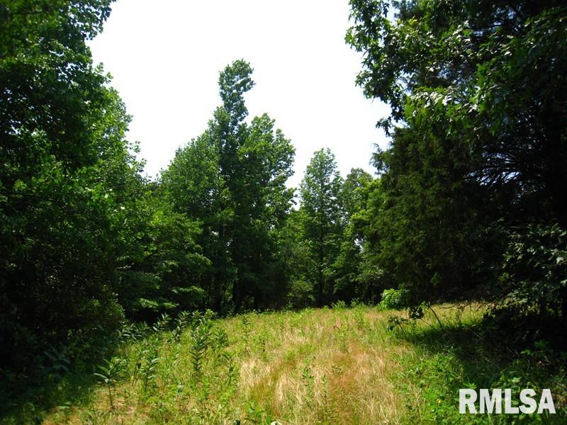 0 Rr Rosiclare, IL 62982 - Photo 6 of 20 Gallery Image 6