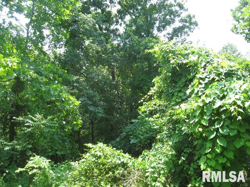 0 Rr Rosiclare, IL 62982 - Photo 8 of 20 Gallery Image 8