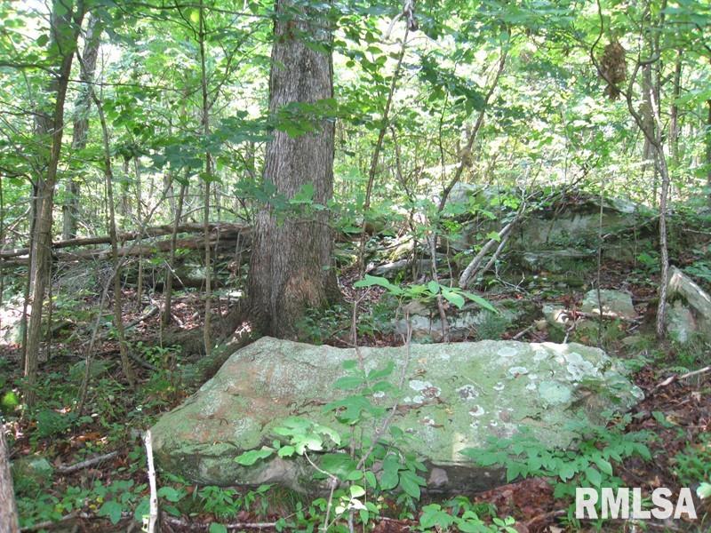 0 Rr Rosiclare, IL 62982 - Photo 9 of 20 Gallery Image 9