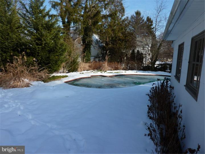 230 Rutledge Avenue Rutledge, PA 19070 - Photo 24 of 25 Pool