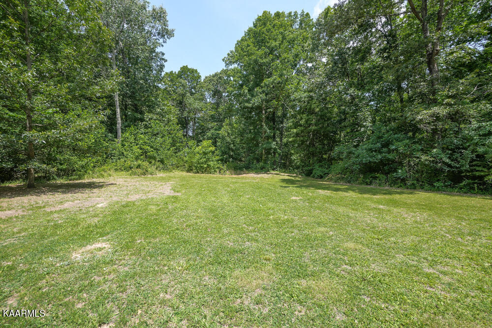 885 Cabe Road Greenback, TN 37742 - Photo 11 of 60 DSC07259