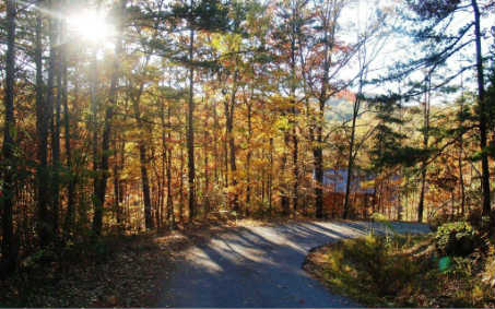 10 Dgmt S/d Blue Ridge Blue Ridge, GA 30513 - Photo 1 of 1 Main View