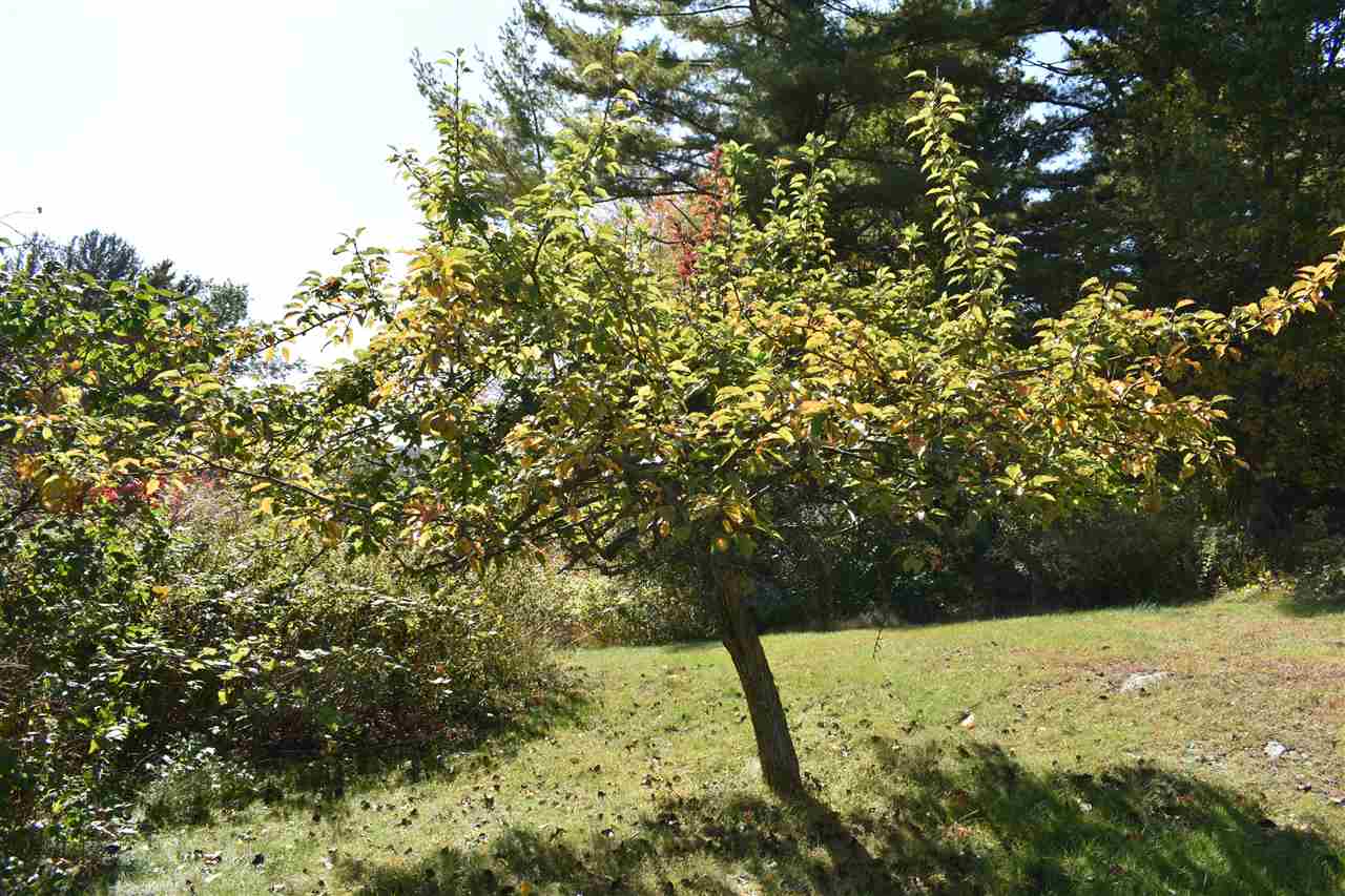 106 Robinson Road Hudson, NH 03051 - Photo 31 of 39 Gallery Image 31