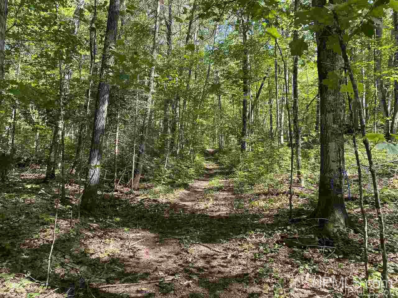 610 Cooper Lake Road Ishpeming, MI 49849 - Photo 41 of 45