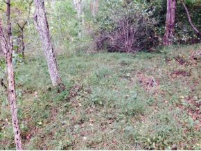 0 Estep Hollow Road Elizabethton, TN 37643 - Photo 1 of 2 Photo 1