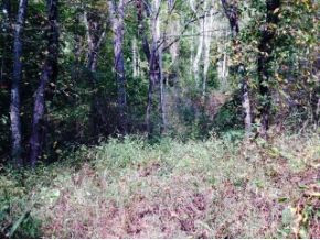 0 Estep Hollow Road Elizabethton, TN 37643 - Photo 2 of 2 Photo 2