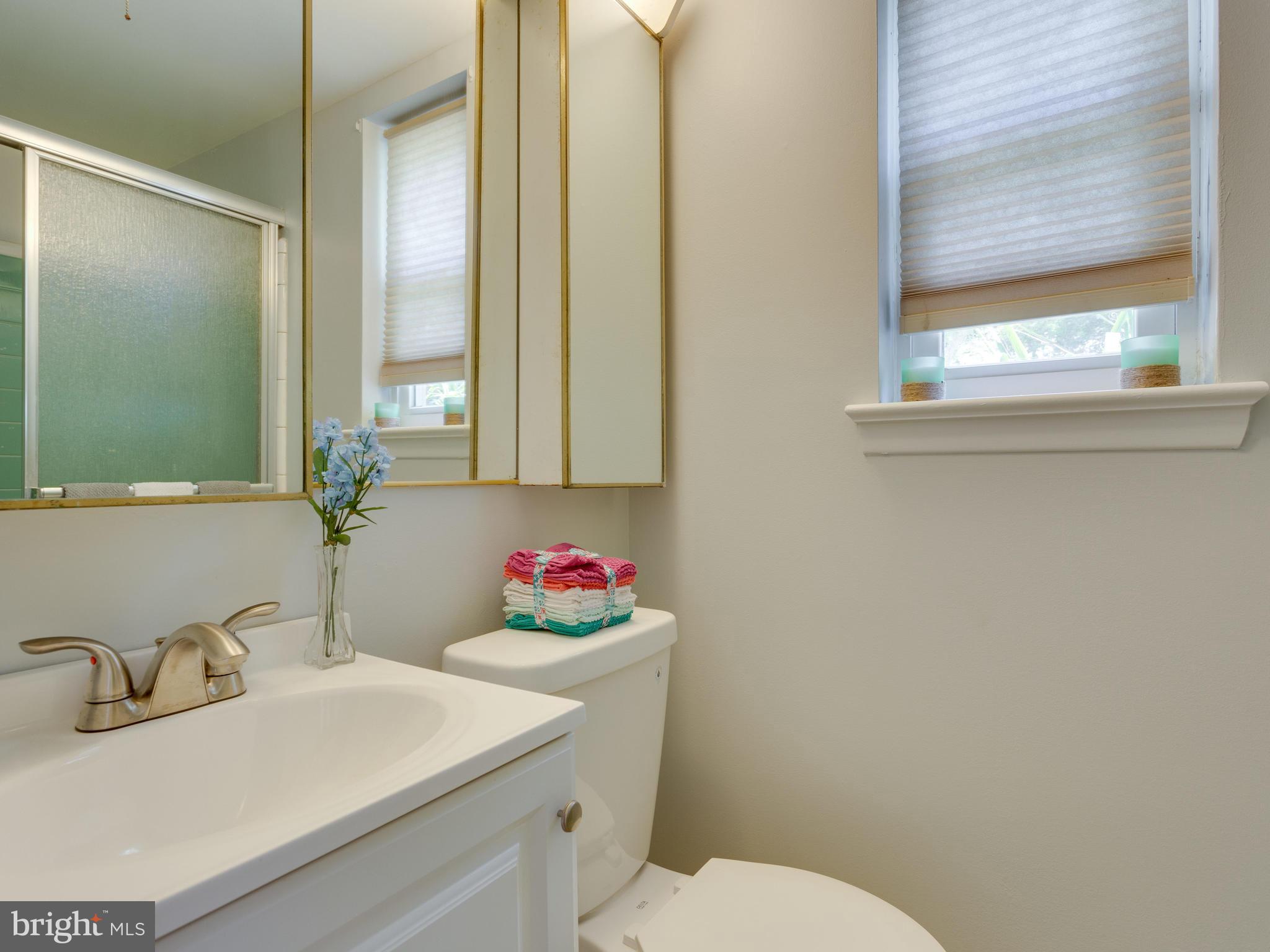 5213 Inverchapel Road Springfield, VA 22151 - Photo 25 of 29 Basement Full Bath