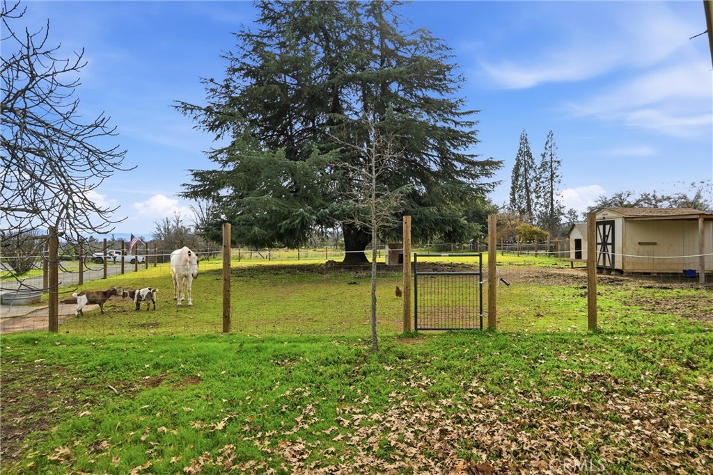 1923 Mountview Road Lakeport, CA 95453 - Photo 18 of 51 Fenced for Horse and Goats
