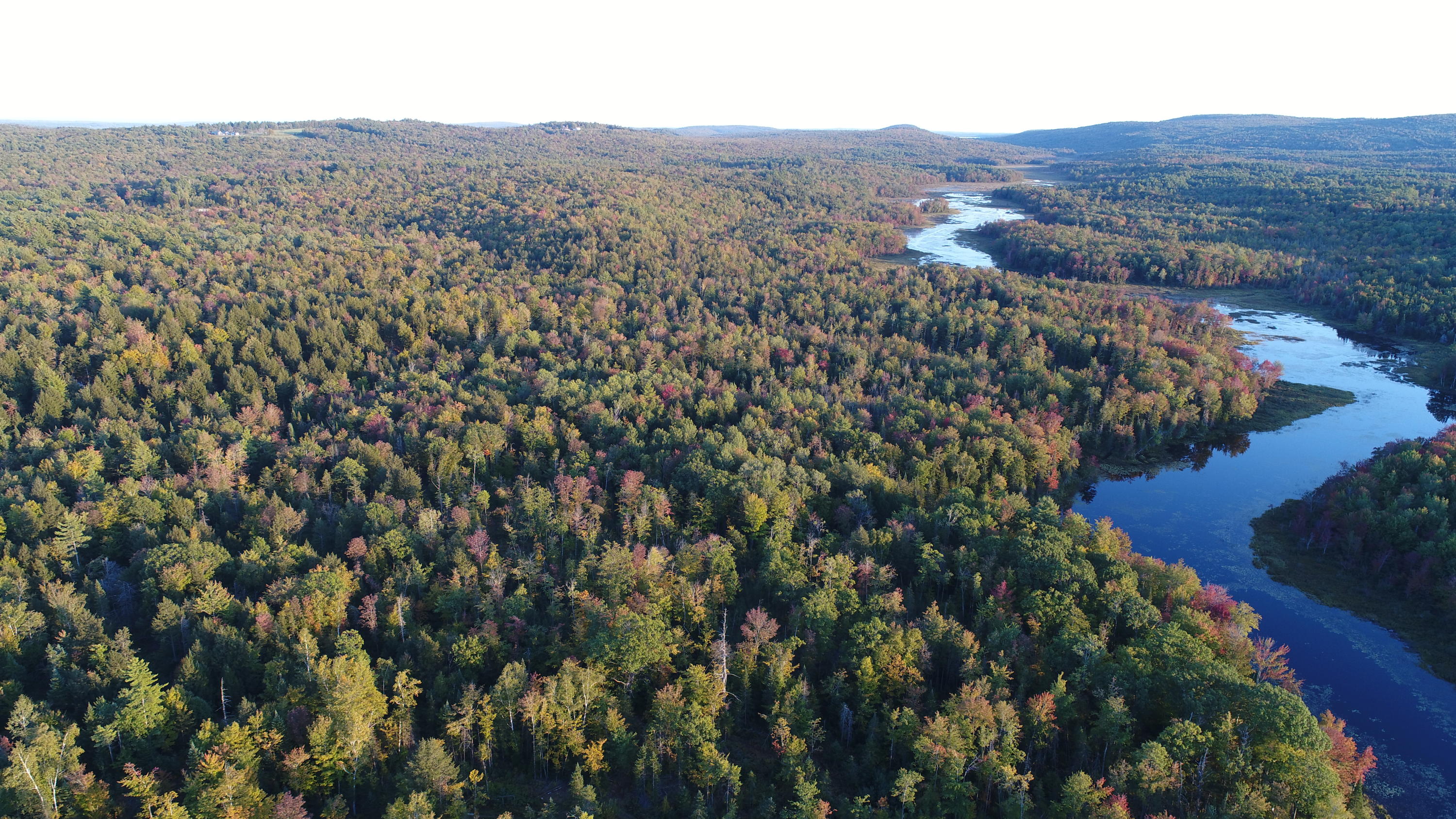 Tbd Beech Hill Road Mercer, ME 04957 - Photo 1 of 18 DJI_0160