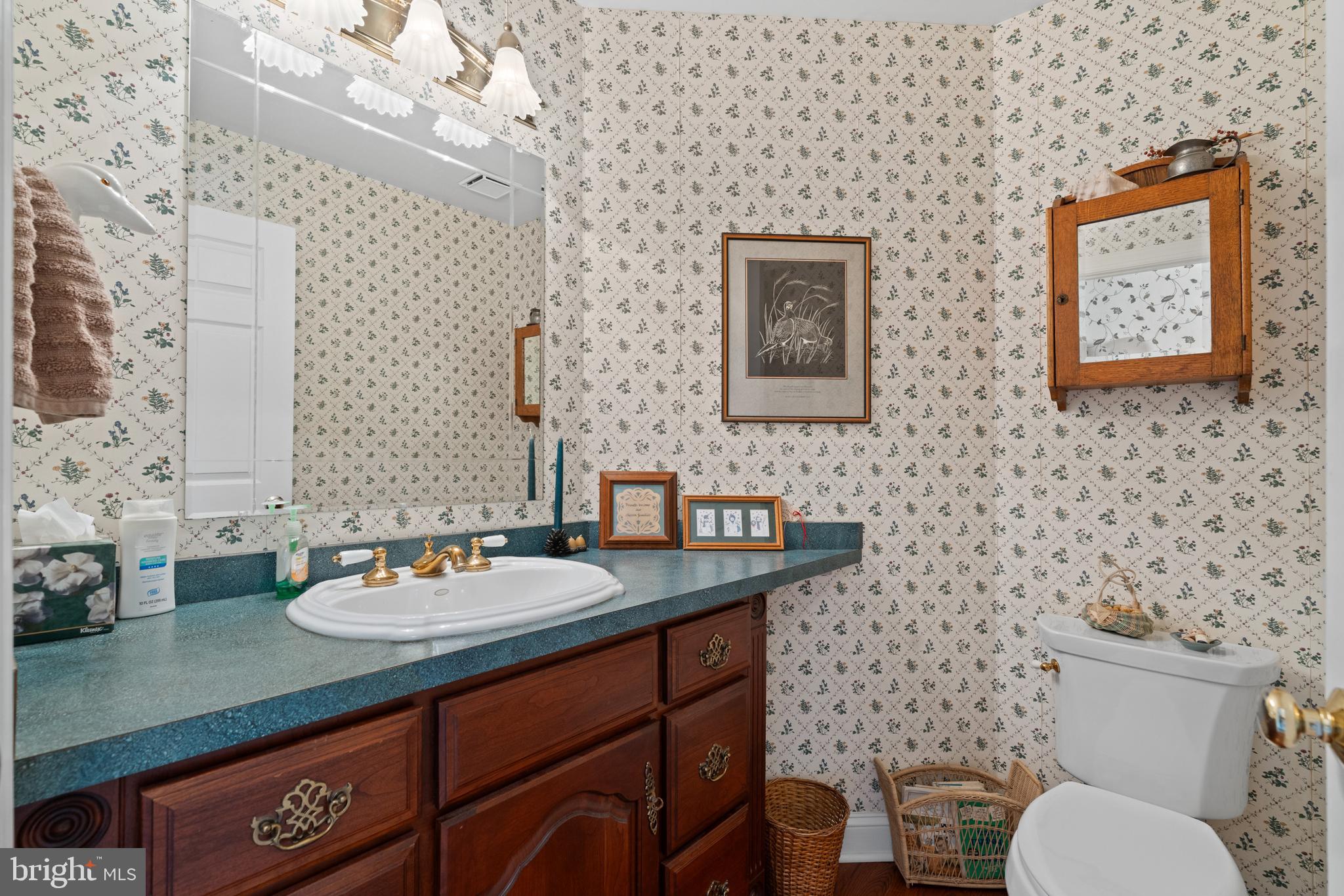 1010 Branch Mill Road Telford, PA 18969 - Photo 15 of 74 a bathroom with a toilet a sink and mirror