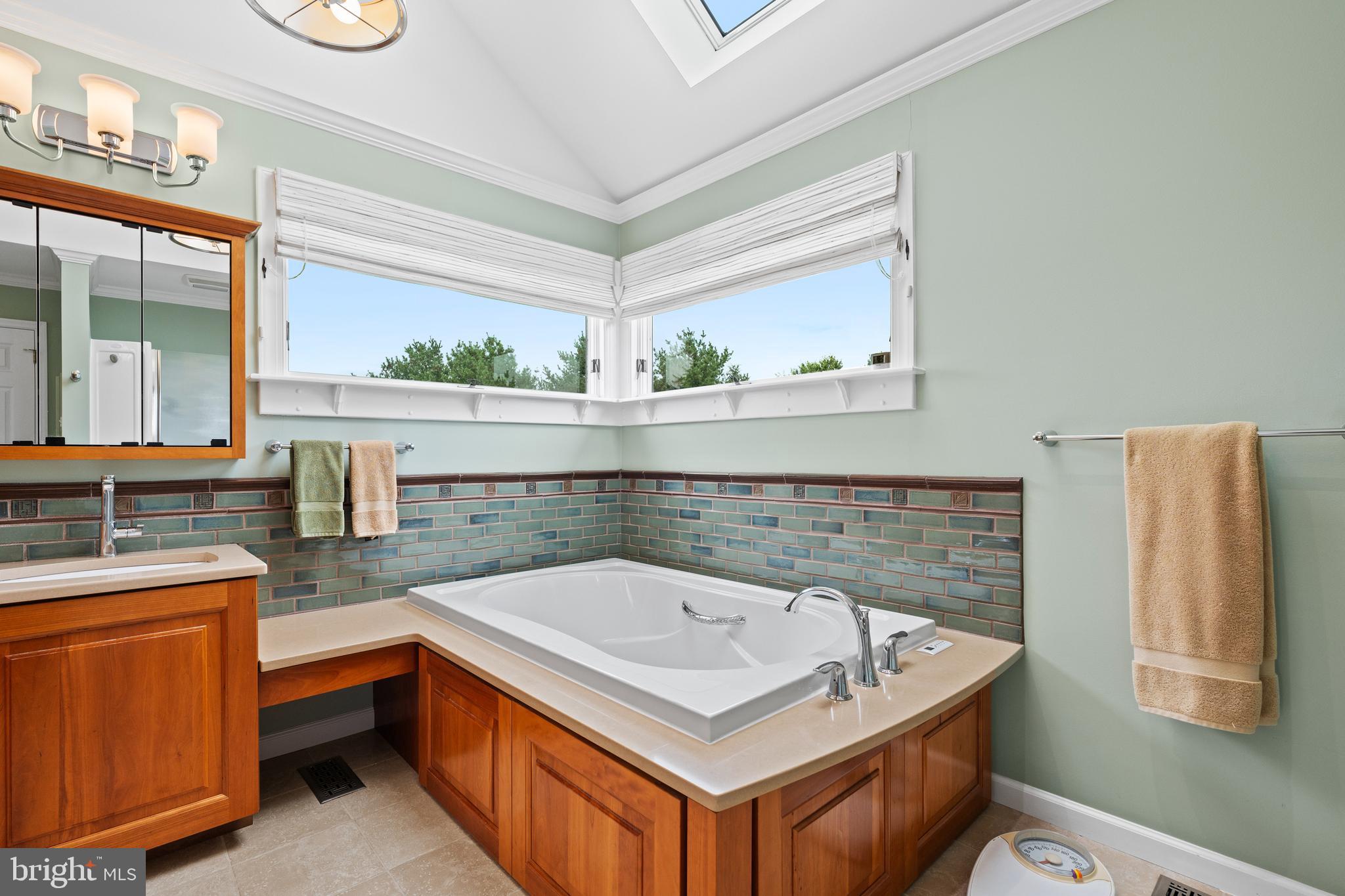 1010 Branch Mill Road Telford, PA 18969 - Photo 33 of 74 a bathroom with a sink a mirror and a toilet