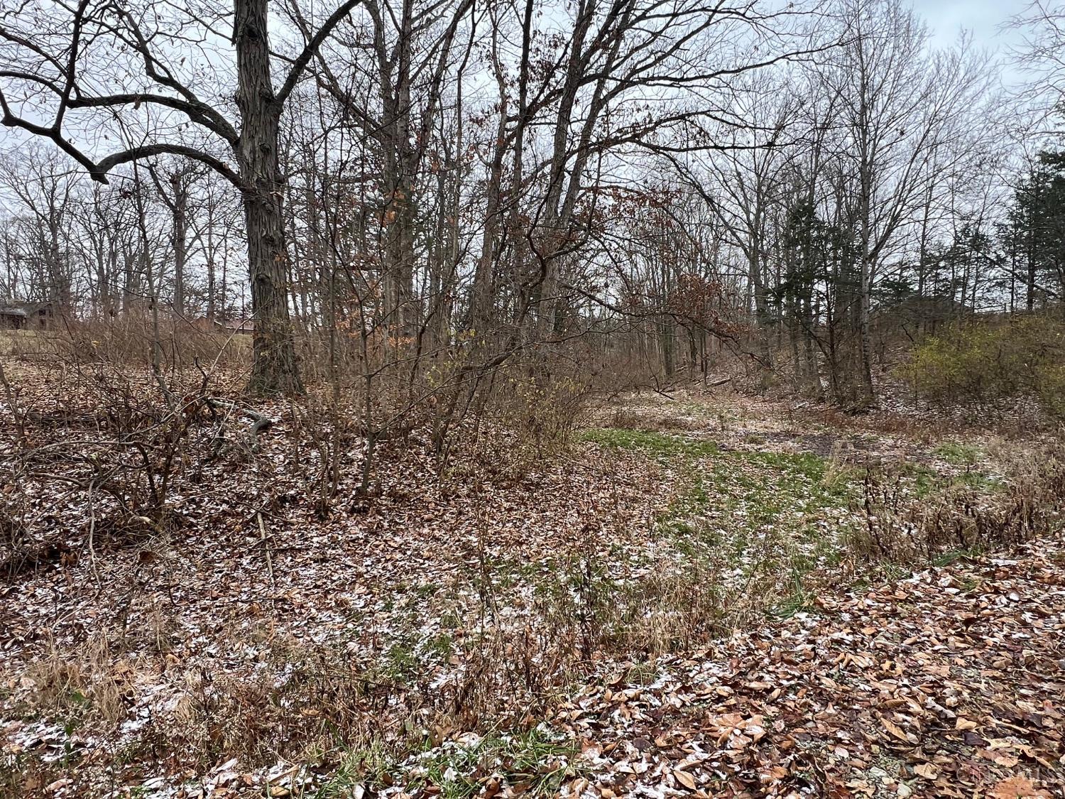 Lot #1 Middleboro Road Clarksville, OH 45113 - Photo 13 of 14