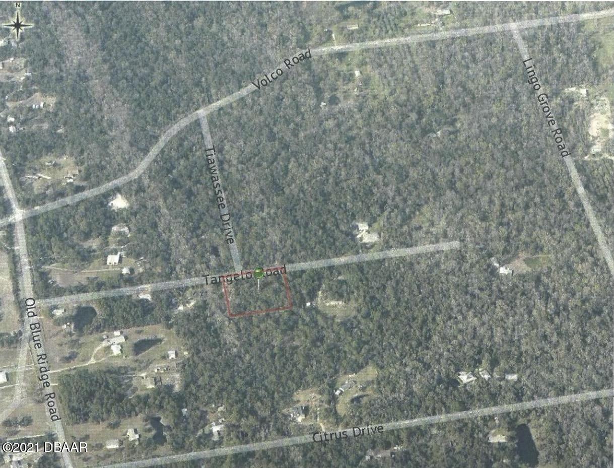Lot 164 Tangelo Road Edgewater, FL 32141 - Photo 1 of 1 ariel copy 2