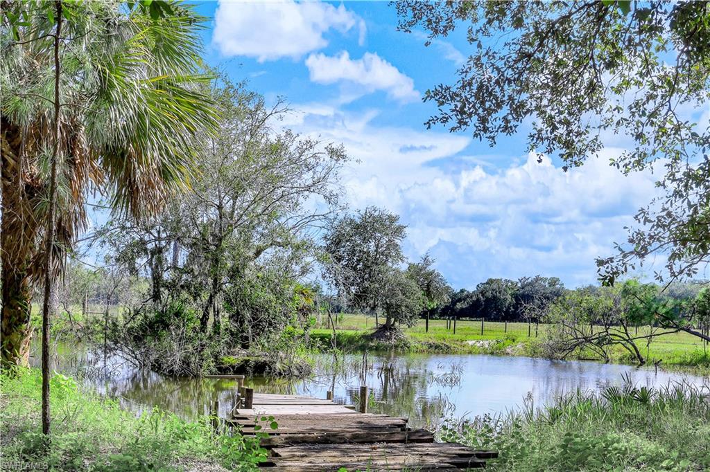 17680 Wildcat Drive Fort Myers, FL 33913 - Photo 2 of 50 a view of a lake from a yard